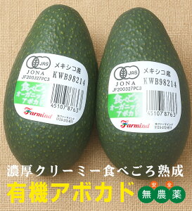 L@A{Jh2N[①ցLVRYEL@JASF؁@̂ꂽꍇ͗L@F؂ł͂ȂȂ܂̂ŁA̔͏I܂B^ĂɕK{ȃr^~A~lA