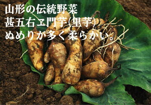 R`̓`؁Er܉Eij1kg_EYR`YEr܉E͎ォ400Nȏ㑱Ƃɓ`闢ŁA疼܂Bt20ڂƂ