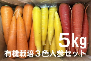 L@͔|3FlQi􂢁j 5kgQnYIWFEFEԐF3lQ̃ZbgL@͔|EYL@JAS