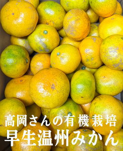 L@@B݂5kgL@JASF؁F{YyzN2924܂ł̒ł