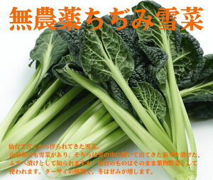 _򂿂ݐ1pbNi300gj_EYtYŌÂĂ؁B^[TC̎ނœ~͊Â݂܂܂B݂`łЂłuߕł܂B