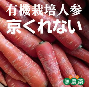 L@͔| ȂlQ 500gpbNL@JASi_EYjQnYȂɂ񂶂