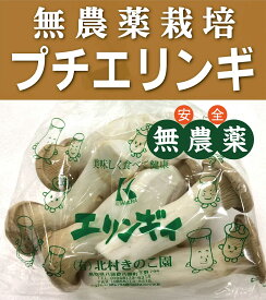 無農薬プチエリンギ 　150g×1パック★鳥取県産★無農薬・無添加★通常より小ぶりなエリンギです。身が締まっていて、そのままでもご使用できます。