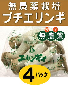 無農薬プチエリンギ 　150g×4パック★鳥取県産★無農薬・無添加★通常より小ぶりなエリンギです。身が締まっていて、そのままでもご使用できます。