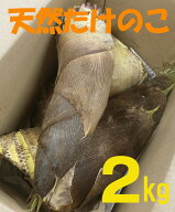無農薬たけのこ　千葉のたけのこ 2kg（約2〜3本）★千葉産筍★無農薬栽培・無添加
