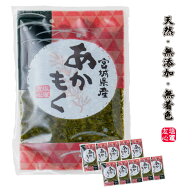 あかもく(ギバサ) 100g×10パック入り 三陸 宮城県産 冷凍 天然 無添加 無着色 ご飯のお供 送料無料(一部…