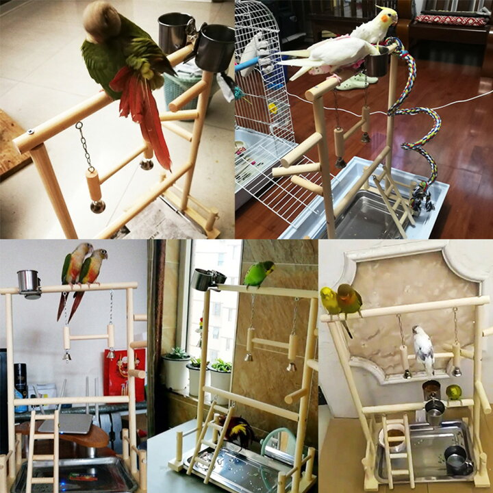 インコ 遊び場 玩具 止まり木 スタンド はしご アスレチック 食器 二層 バード