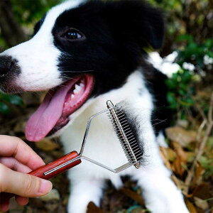 犬用衛生用品 毛玉取りの人気商品 通販 価格比較 価格 Com