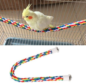 y10%OFFN[|P3{zIE ~܂ Rbg[v uR rɗD^b` IE p [v Vт 𚐂