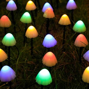 zpl[d AEghACg 600MA LmRCg \[[}bV[XgOCg h  eX K[f p[eB[ EFfBO tFXeBo fR[V 12C