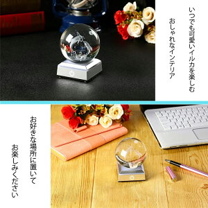 NX^ {[ CJ a v[g 3D CJ   v xbhTChv Q  CeA FύX 킢CJ u  ObY }eBbN ͋C 