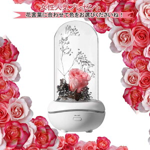 y10%OFFN[|P3{zvU[uht[ v[g  h[AW o ͂Ȃ A}fBt[U[ 蕨  ̃v[g av[g v[g 