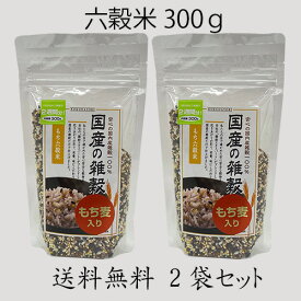 【送料無料】国産の雑穀 もち六穀米 300g2袋セット 雑穀米 ブレンド雑穀米 国内産雑穀 国産雑穀 雑穀 雑穀国産 国産雑穀米 雑穀米 国産雑穀 国内雑穀 米 六穀米 雑穀ミックス 雑穀ブレンド 雑穀おすすめ 穀物 もちもち食感