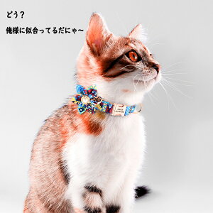 ̎   L Lpi y 3F4TCY 킢F ^A^A^p U op  v lC ybgpi ߉\ n[lX [h e͐ \tg