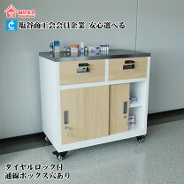 楽天市場】病院 薬 棚の通販 在庫2点あり 薬剤棚 医療棚 調剤薬局 病院 業務用 薬棚 キャビネット 薬品庫 薬品保管庫