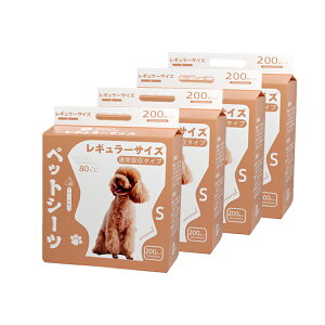 ybgV[c  e  L gC ybgp V[c ^ L  gCV[g gCV[c ܂Ƃߔ Ɩp ybgp  gCV[g M[200 Ch 100 X[p[C