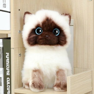 猫 ベッド ホビーの人気商品 通販 価格比較 価格 Com