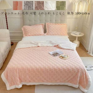 yzӂӂ VO uPbg H~p  ^IPbg  |zc Ђ| ѕz  100cm*150cm zc tl k  _炩 ۈ牀 \t@[Jo