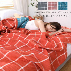 zc  K[[Pbg |zc ۈ牀 VO  ^IPbg  k uPbg ĕzc 150*200cm Ђ| _炩 \t@[Jo[ ѕz [΍ }CNt@C