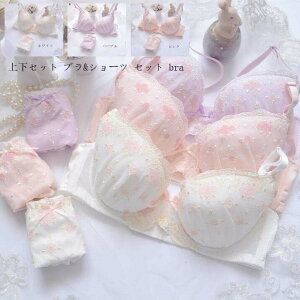 uZbg 2_Zbg Vv  u ZbgAbv uW[   V[cZbg Jԃu  WF[ u w u V[c ㉺Zbg bra set C