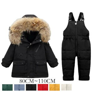 _EWPbg  q xr[ 㒅+Tybg 2_Zbg H~p _ER[g AE^[ ȃR[g AEghA LbYWPbg LbY xr[ o Oo ۉ h