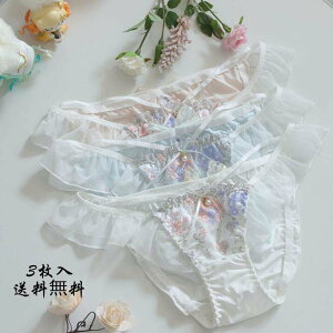 パンティ 下着 パンツ 通気 ショーツのみ 送料無料 スタンダード 女性用 ファッション 少女 3枚セット 大人 すっぽり 可愛い 学生 ショーツ セット 中学生 美尻 ショーツセット 抗菌防臭 快適