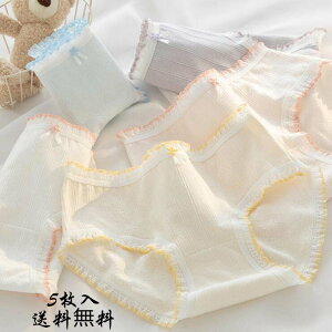 Vi Ci[  V[cZbg 5Zbg V[ĉ fB[X  Pi  }} t H ~   Vv  ʋC ZNV[  Vv wlp 20304050 M L XL 