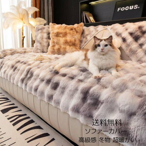 ^IPbg  |ѕz  \t@[Jo[ uPbg  tFCNt@[ ItBX VO _u NC[ tl g 1l| 2l| 3l|4l| Ȃ߂炩 