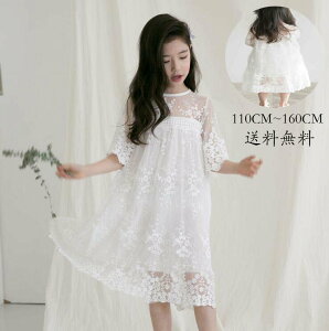 ؍ s[X  q w@ s[X m qp qǂ   qs[X ̎q  LbYs[X 畞 WjA tH[} Cxg 󌱗p 