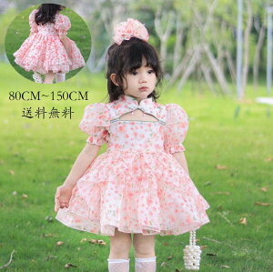 qp s[X RX`[ ߑ  q RXv  Lolita qs[X [^  Cxg m qǂ ̎q LbYs[X 畞 WjA tH[} Ki