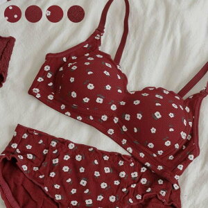  WF[  uZbg u ZNV[ V[c  u&V[c Zbg bra set ㉺Zbg C[Ȃ ZbgAbv  [XuZbg  uW