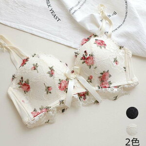 u&V[c Zbg 2_Zbg  uZbg Jԃu V[c  uW[ WF[ u ZNV[  ZbgAbv C[Ȃ [XuZbg   ㉺