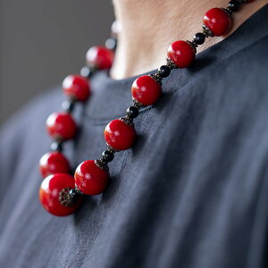 Ƃڋʁ@nhChlbNX(HH-218)@Ɓuvqv