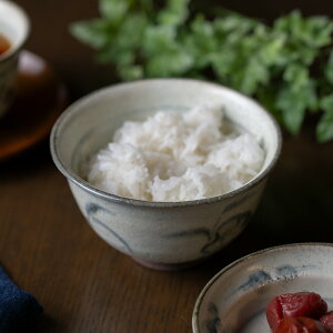 јqiKIA-117j@Ɓur؊v