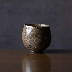 t | ւ (MS-091)  uNv