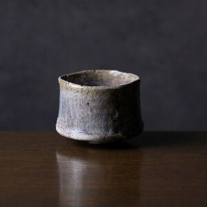 t | ֎Â (MS-099)  uNv