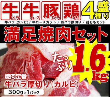 バーベキュー肉焼肉セット牛カルビ・豚バラ・鶏ももの３種と万能ダレ付き6〜8人分総量1.6kg送料無料