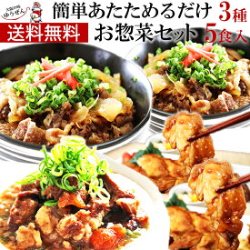 [ 父の日 ギフト ] 温めるだけ お惣菜 3種5個 セット 寺田 国産 牛丼 牛すじ煮込み 照り焼きチキン 冷凍 食品 送料無料 通販 プレゼント ギフト 贈答 美味しい おかず おすすめ 簡単 惣菜 お試し 仕送り ゆうぜん