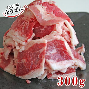 BBQ,ēɁI o؂ēpi300g) 5mm XCX Jr Ⓚ [܂Ŕ yⓀ  ē uߕ Ⴊ z aHi