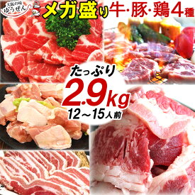 楽天1位 メガ盛り バーベキュー 焼肉セット 12〜15人前 精肉 楽天 1位 10人前以上 大人数用 牛カルビ・訳あり・豚肩ロース・豚バラ・鶏もも 4種 食べ比べ メガ盛り 2.9kg 送料無料 BBQ食材セット 肉 セット 明和食品