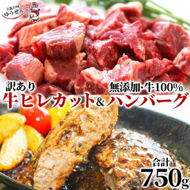 人気アイテム2種 牛ヒレ カット ステーキ 300g 牛100% ゆうぜんハンバーグ 150g×3 750g セット牛肉 牛ヒレ肉 精肉 赤身 ステーキ プレート ランチ 焼肉 バーベキュー ハンバーグ 無添加 贈り物 ギフト