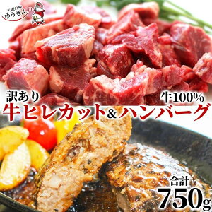 人気アイテム2種 牛ヒレ カット ステーキ 300g 牛100% ゆうぜんハンバーグ 150g×3 750g セット牛肉 牛ヒレ肉 赤身 ステーキ プレート 焼肉 バーベキュー ハンバーグ うま味調味料 無添加 贈り物 ギ