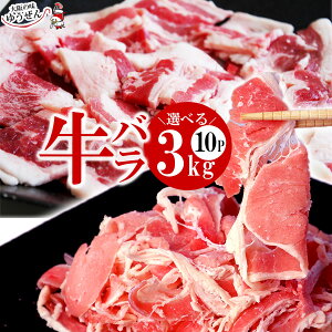 _Iׂ鋍o^yzo ēpܐ؂ XCX 300g×10P(3kg) y o   ܐ؂ XCX ؂ J[ Ⴊ Ⓚ ⓀHi z aHi