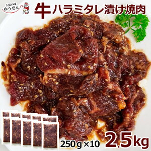 n~ ^Ђ ē 2.5kg (250g×10pbN)   y ē BBQ  n~ t Ⓚ ٓ  O |[h I[XgA Ă aHi ܖ Y