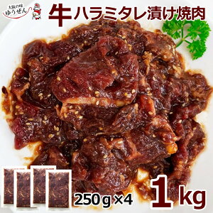 n~ ^Ђ ē 1kg (250g×4pbN)   y ē BBQ  n~ t Ⓚ ٓ  O |[h I[XgA Ă aHi ܖ Y