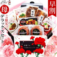 [ 母の日 早割 300円OFF クーポン ] 高評価★4.73の極上バーグ入り 惣菜 グルメ 9食 デラックス セット …