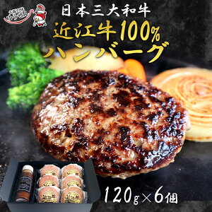 [ 10労Ӎ 1,000~OFF N[| ] ߍ]100%no[O 120g × 6 p\[Xt ϔ Mtg{bNX   ߍ] y no[O Ⓚ Mtg 蕨  O ܖ Y