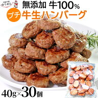 [ 値上げ直前 最終セール ] ＼高レビュー4.88／無添加 牛100％ プチ牛生 ハンバーグ 40g×30個 本格ハン…