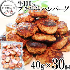 ＼高レビュー4.8／牛100％ プチ牛生 ハンバーグ 40g×30個 お弁当に 本格ハンバーグ 送料無料 惣菜 牛肉 ミニハンバーグ 焼くだけ お弁当 グルメ おかず ギフト 冷凍 食品 無添加 自然派志向