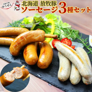 [ Pő19{ vGg[ ] Y Y kC q \[Z[W Zbg ECi[ n[u t BBQ ē Mtg v[g   䂤 aHi
